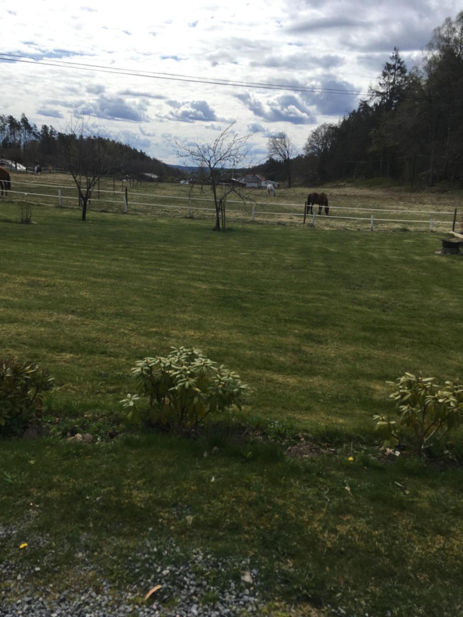 Airbnbekasberg Olofstorp 외부 사진