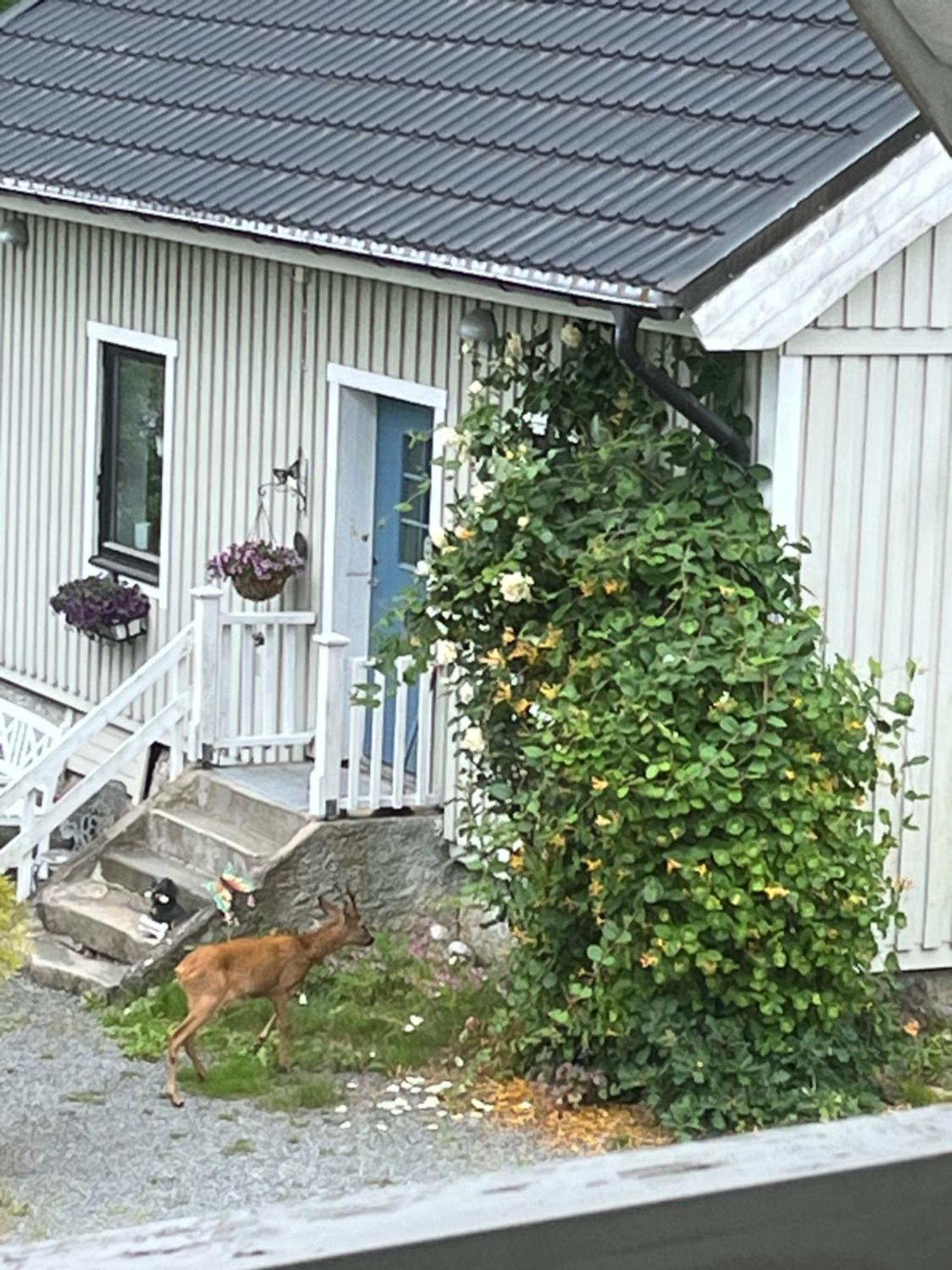 Airbnbekasberg Olofstorp 외부 사진